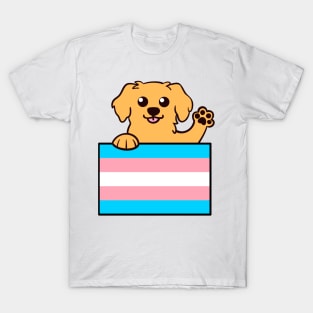 Love is Love Puppy - Golden Trans Pride Flag T-Shirt